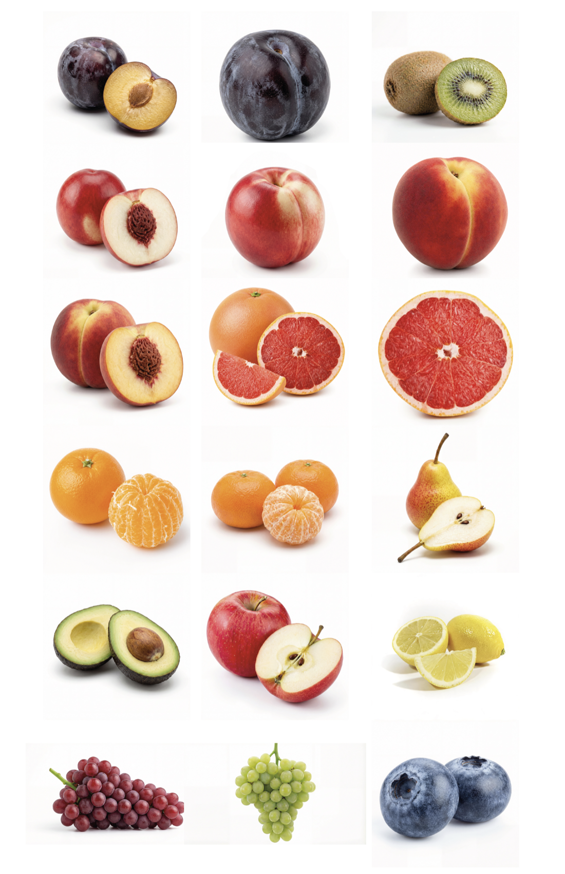 Frutas de Chile — mosaico de frutas