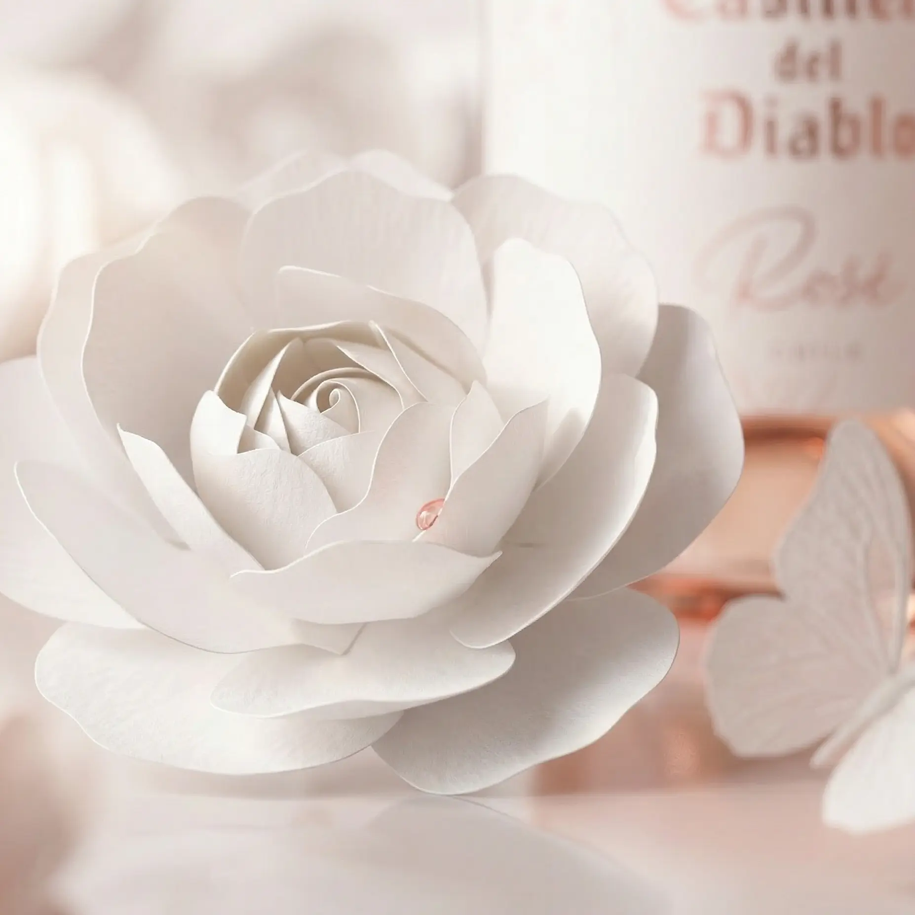 Casillero del Diablo Rosé — 4